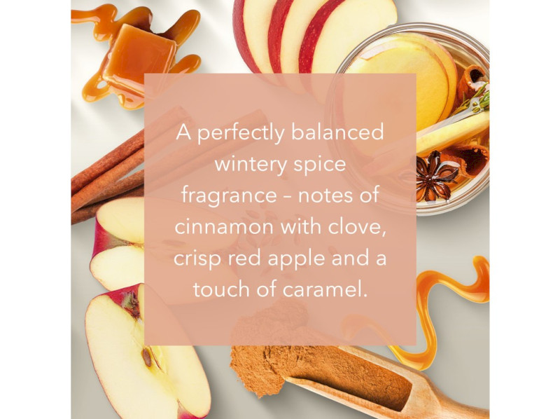 41385-cinnamon cider - v